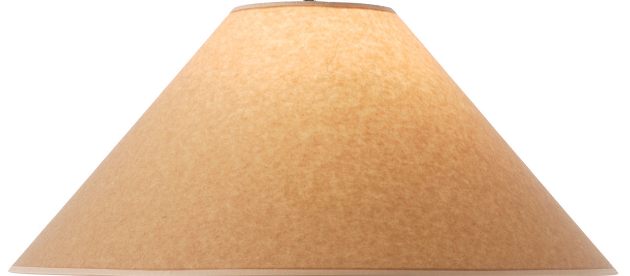 Vein Lamp Shade Questions & Answers